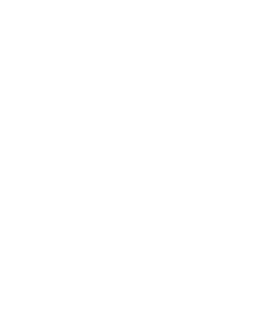 What Is Canonical Tag? A Complete Guide to Canonical Tag SEO 2 canonical tags explained
